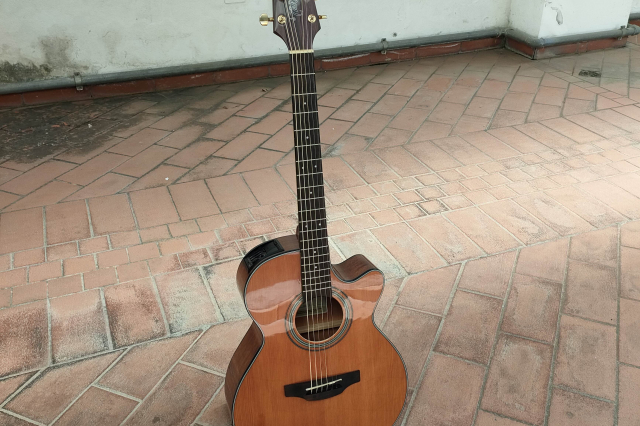TAKAMINE GSF1CE NG