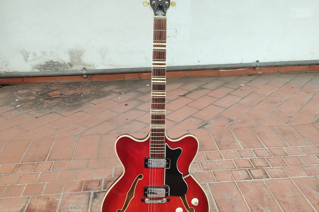 HOFNER VERITHIN