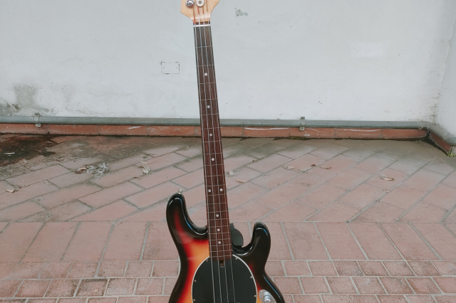 JIM HARLEY STINGRAY FRETLESS