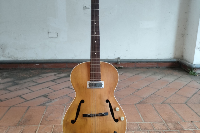 FRAMUS 5/50 HOBBY elettrificata