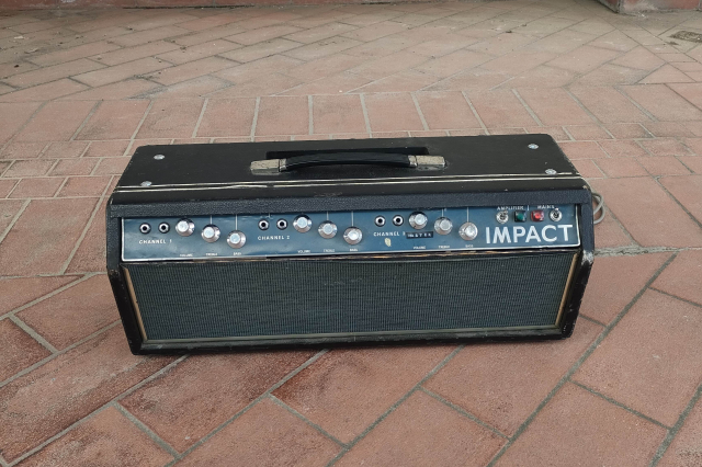 IMPACT 100