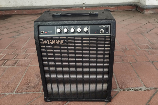 YAMAHA F 20 B