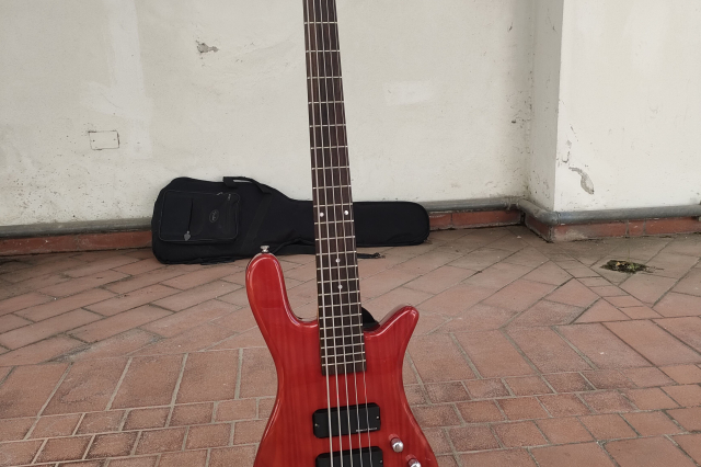 WARWICK ROCKBASS STREAMER 5 2002