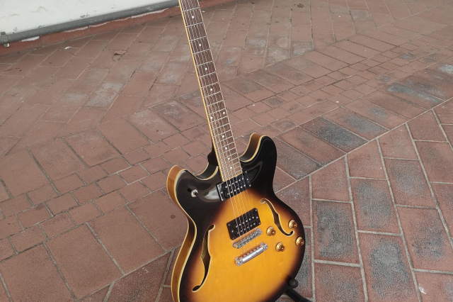 WASHBURN HB-30 TS
