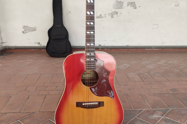 CIMAR 370 HUMMINGBIRD