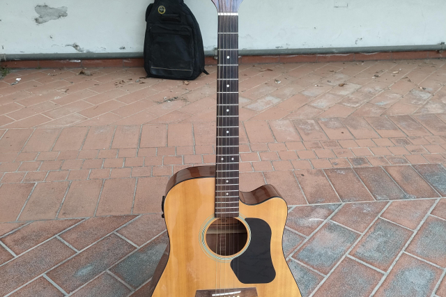 WALDEN D350 CE
