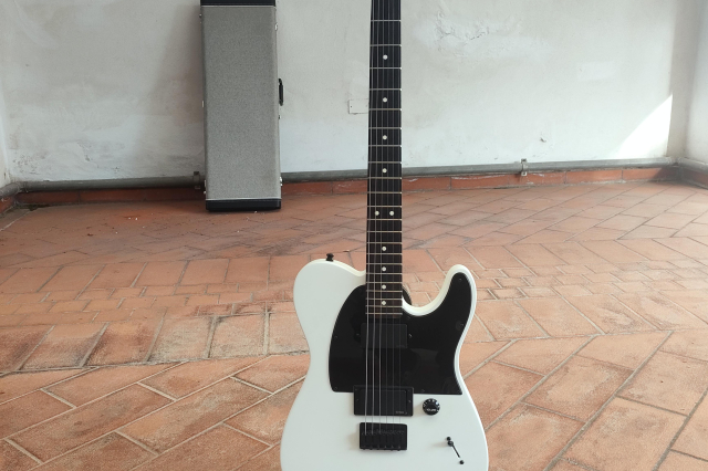 FENDER TELECASTER JIM ROOT