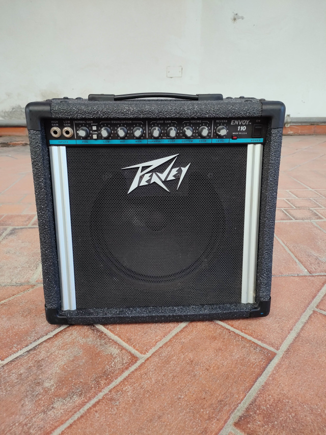 PEAVEY ENVOY 110