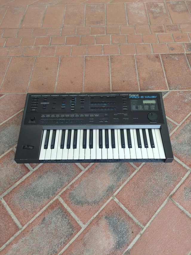 ROLAND PRO-E