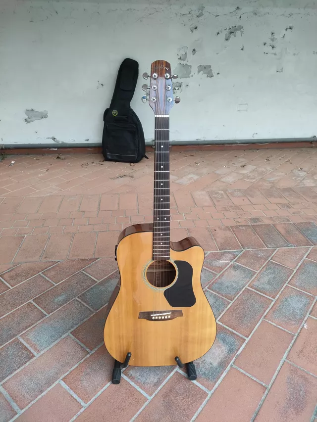 WALDEN D350 CE