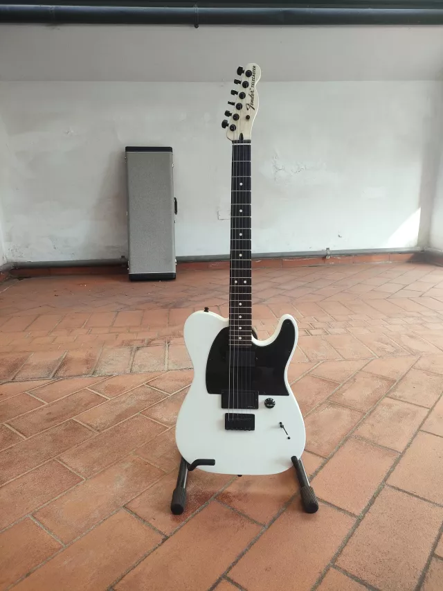 FENDER TELECASTER JIM ROOT